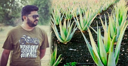 Harish Dhandev