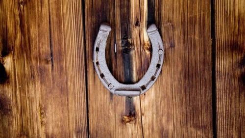 Horseshoe on the Door Brings Luck