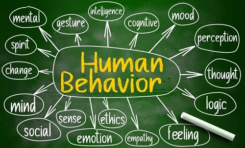 Human Behavior