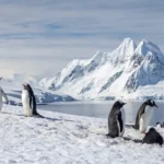 About Antarctica