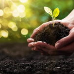 soil
