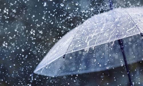 Rain