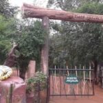 Tiger Reserve