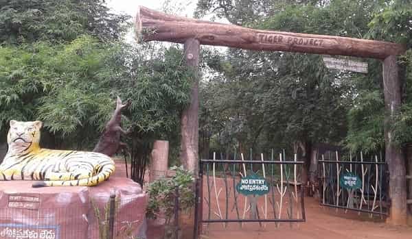 Tiger Reserve