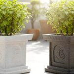 Tulsi