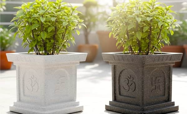 Tulsi