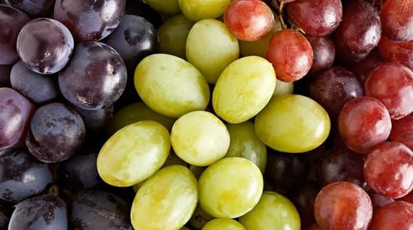 Grapes